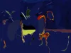 UNTITLED